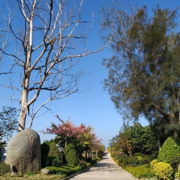 紅樹林公園圖片