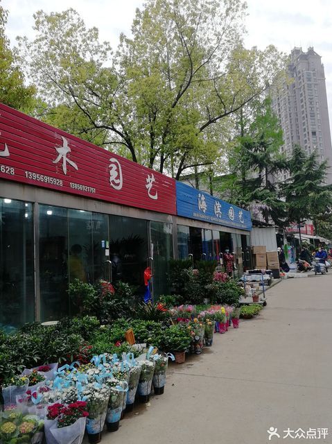 合肥市裕丰花鸟虫鱼市场图片