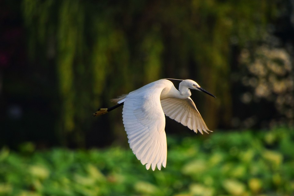 中国长乐海蚌公园图片