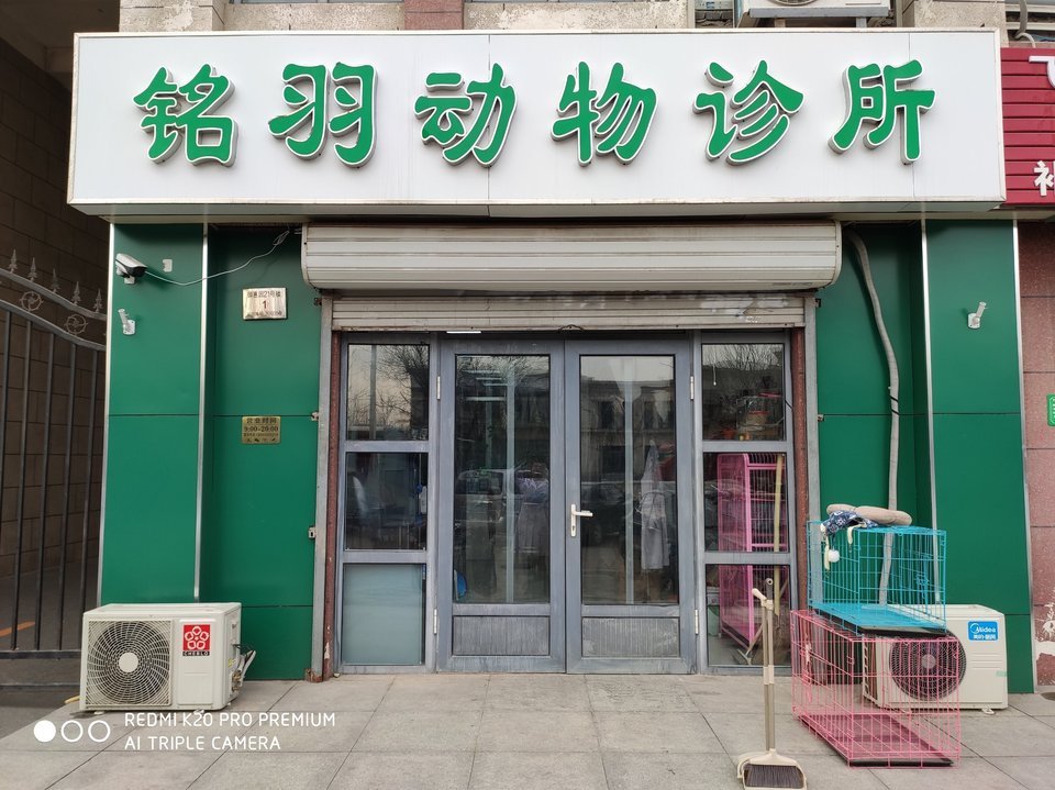 铭羽动物诊所图片