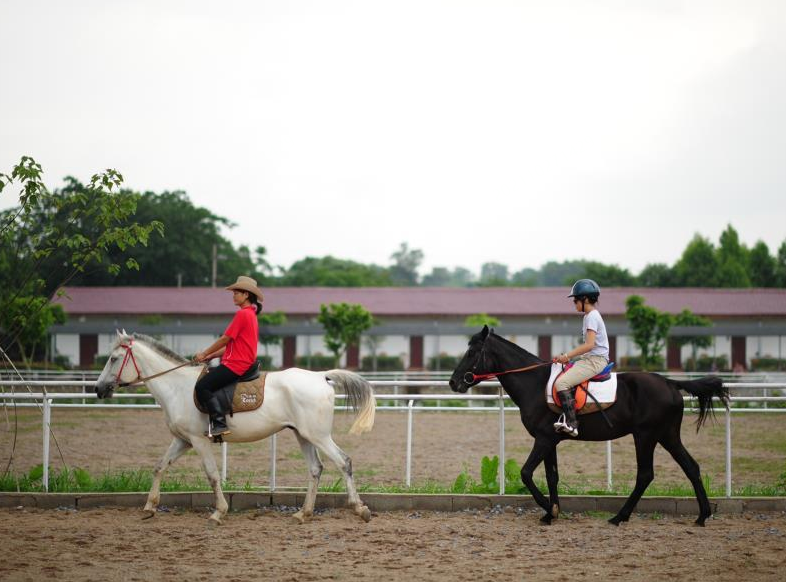 陽光馬術假日莊園