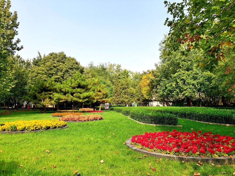 方庄体育公园图片