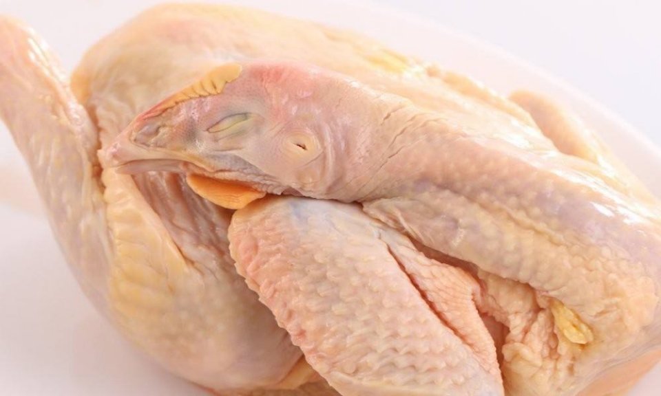 现宰三黄鸡(半只)图片