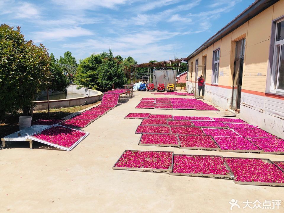 玫瑰庄园地址(位置,怎么去,怎么走,在哪,在哪里,在哪儿):青岛市即墨区