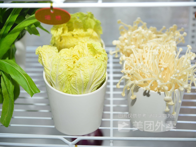 济南鸡仔出售信息网站_济南鸡仔出售信息网站官网