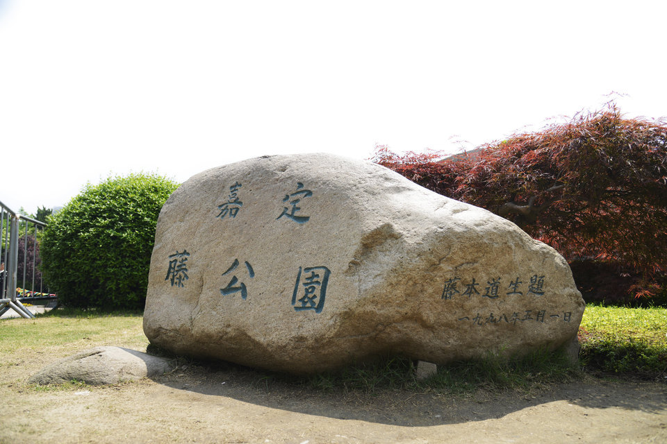 嘉定紫藤园图片
