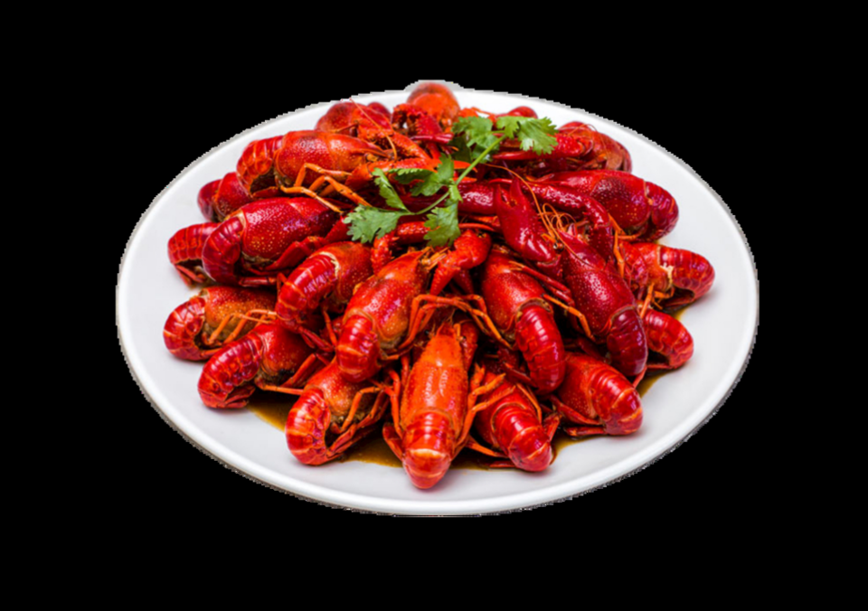 幸福的龙虾