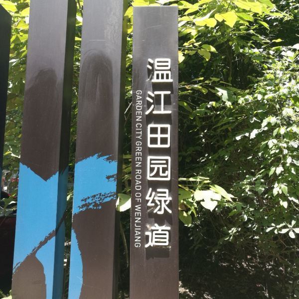 温江区田园绿道图片