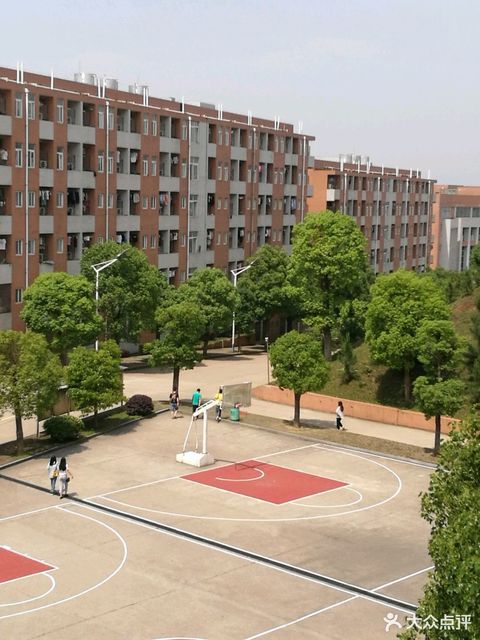 中南大學林業科技大學