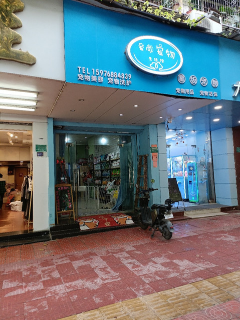 爱尚宠物生活馆图片