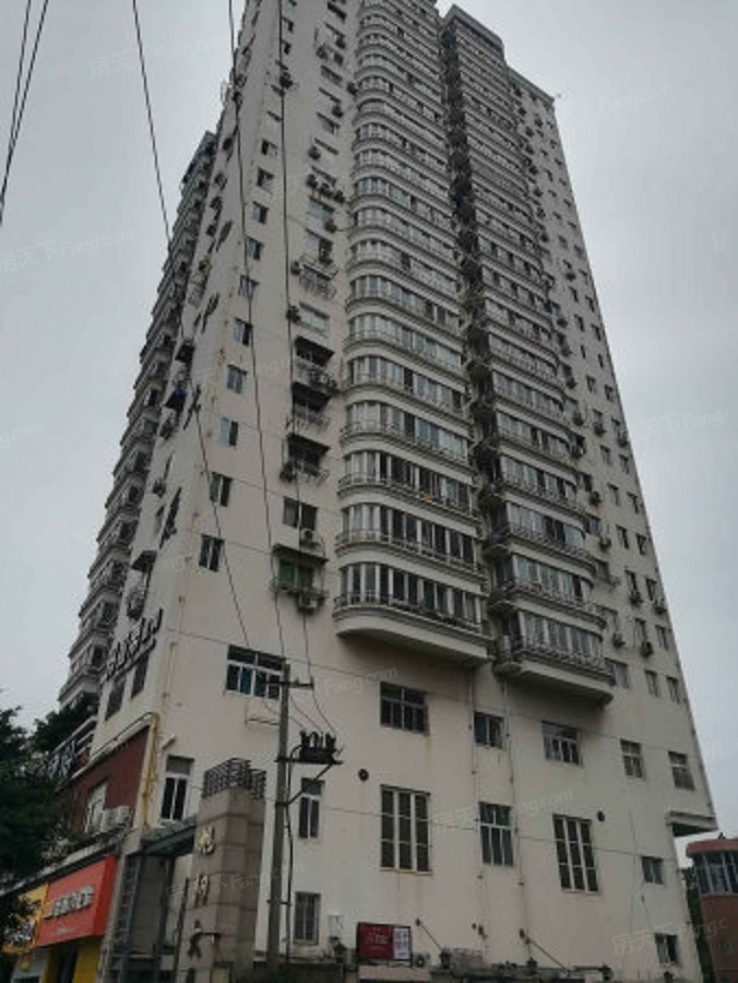 旭阳大厦(括苍西路)图片