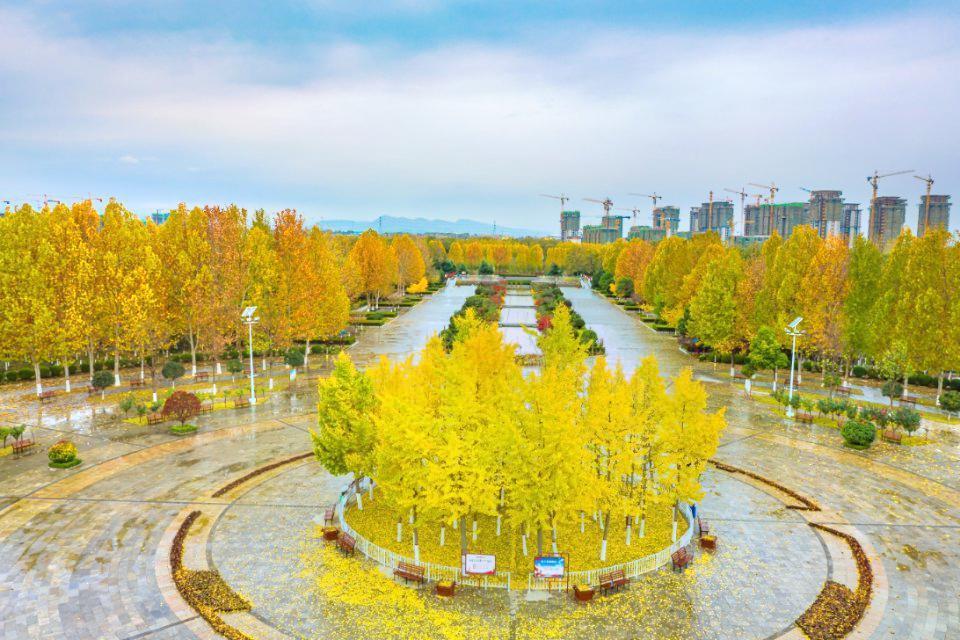 荥阳京襄城遗址生态园图片