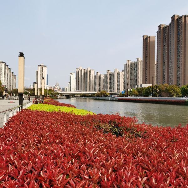 长风生态商务区2号滨河绿地