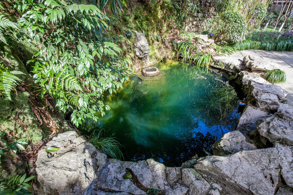 杭州西湖风景名胜区-龙井泉图片