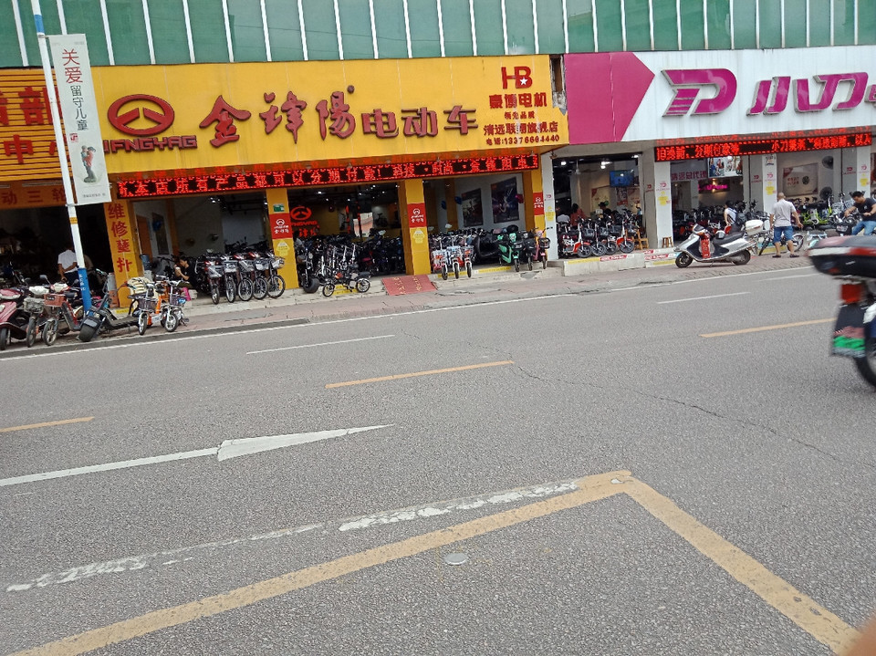 金锋阳电动车图片