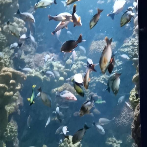 正佳极地海洋世界
