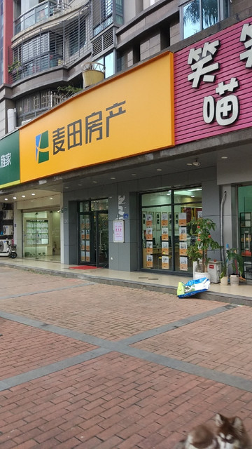 麦田房产(瑞景公园店)图片