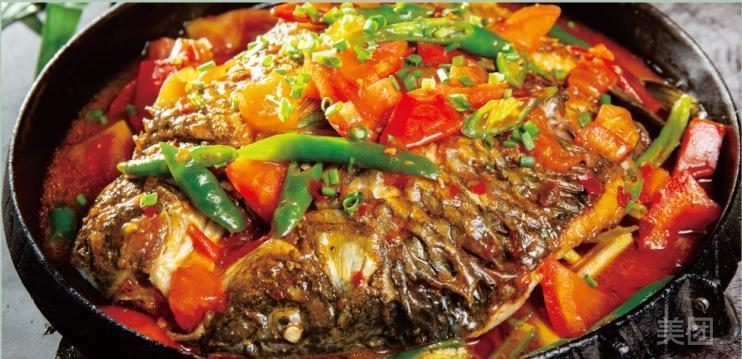 阳朔啤酒鲤鱼图片