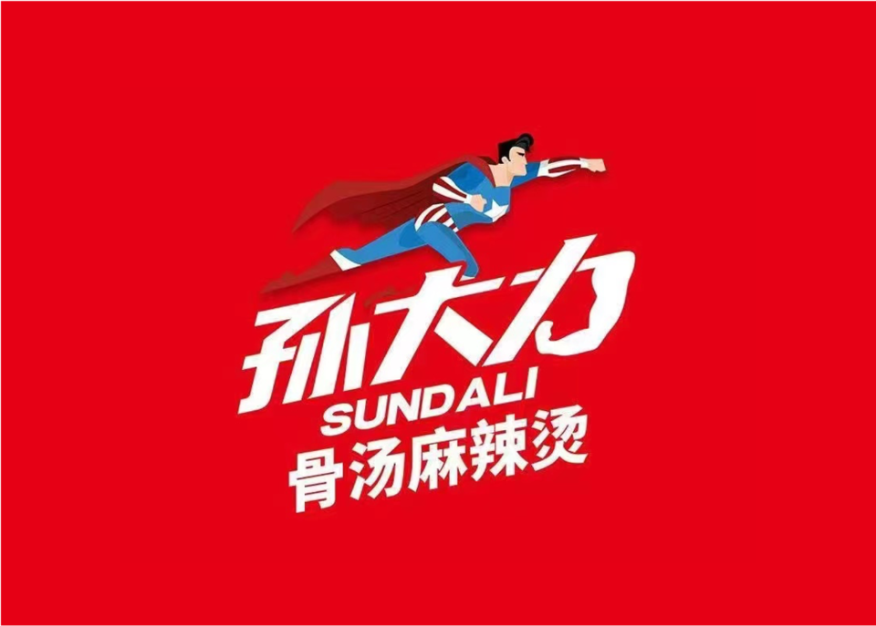 孙大力logo图片