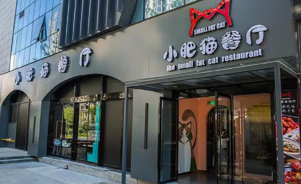 小肥猫餐厅(文宗路店)图片