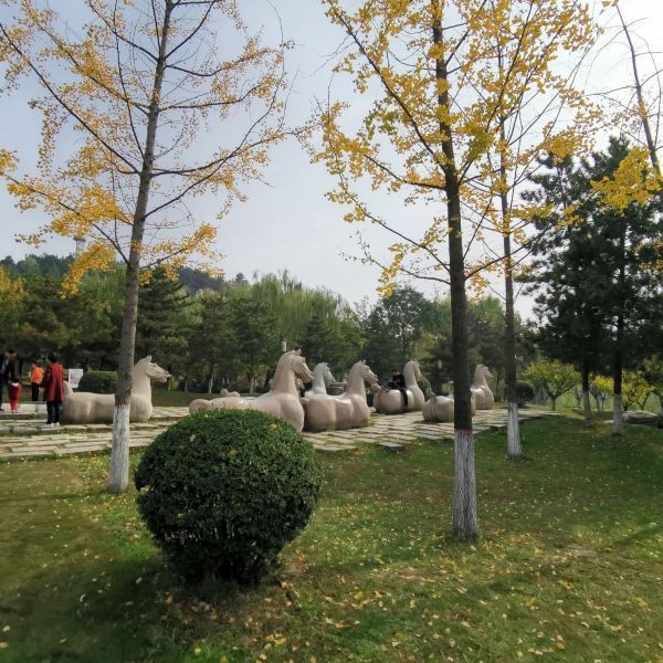 鸚鵡寺公園