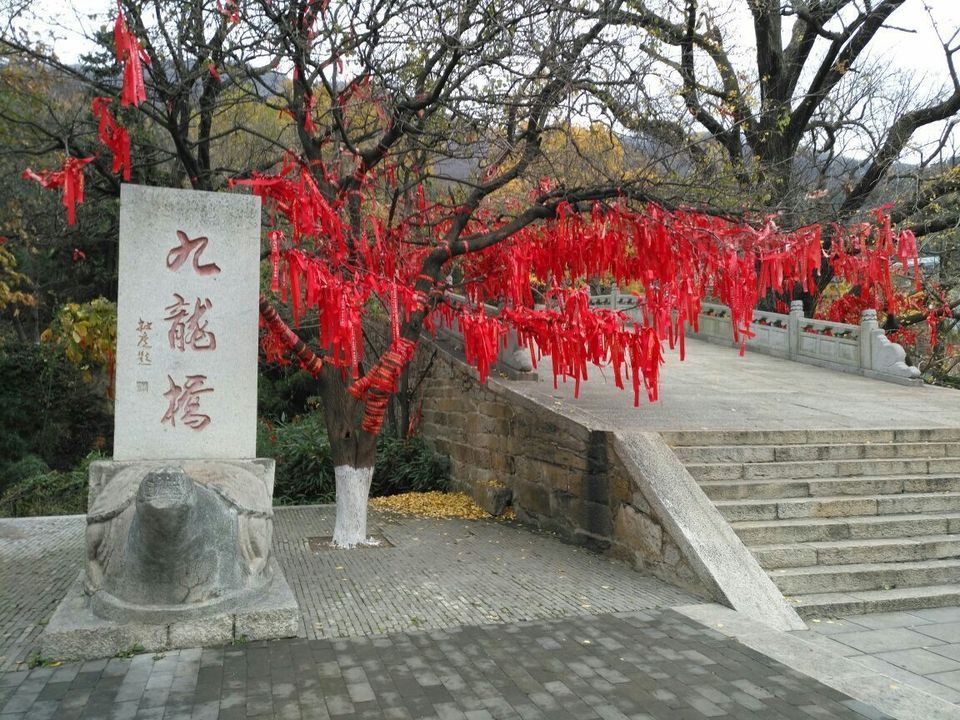 九龙桥花果山图片