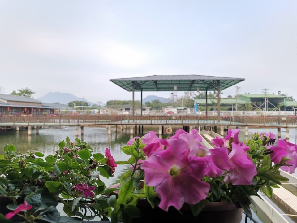 广东阳春巿岗美云山绿湖度假村