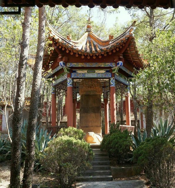 野生動物園海東溼地公園昆明動物園西華園洛龍公園曇華寺西遊洞景區