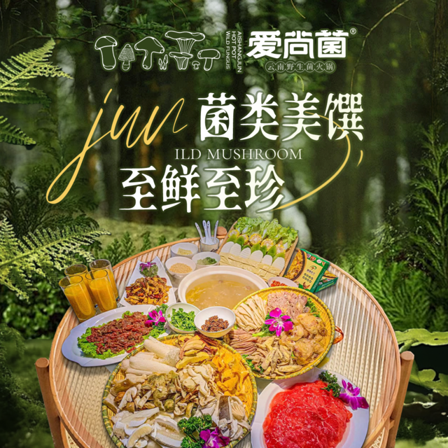 爱尚菌野生菌火锅图片