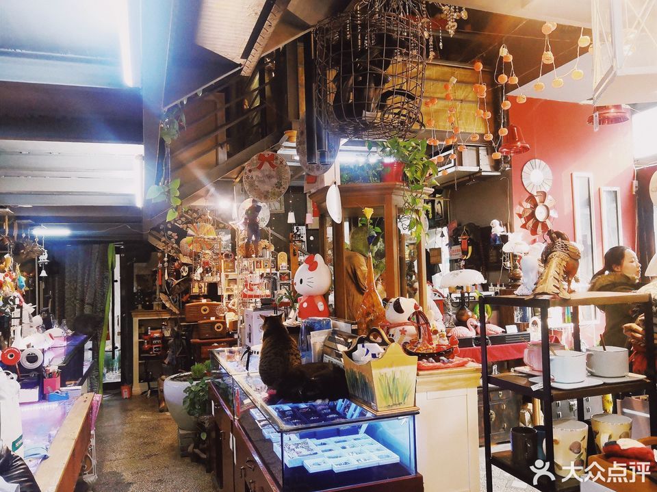 好玩的店图片