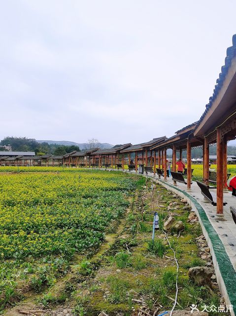 新丰县马头镇秀田村