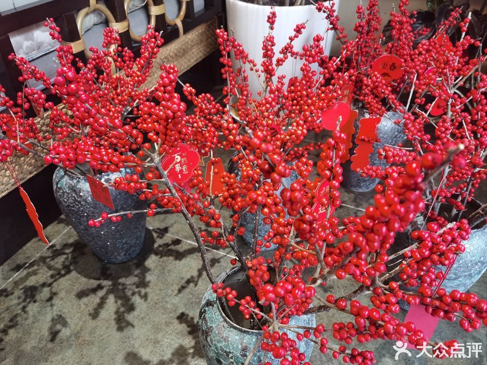 丽妍春天美容spa会所(元一店)图片