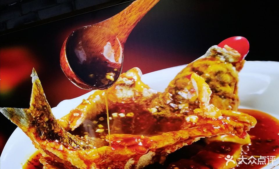 徐鼎盛飞龙鱼图片