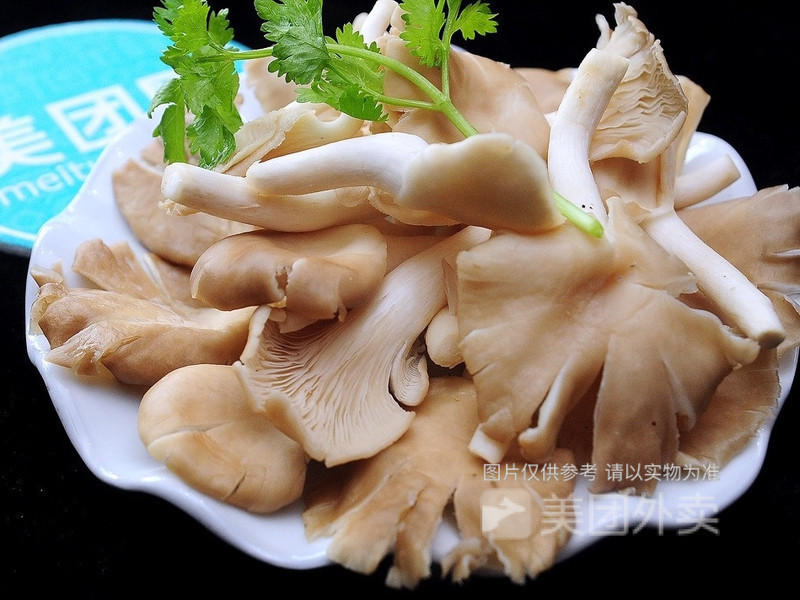 平菇图片
