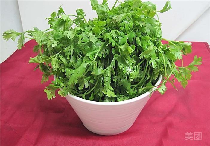 香菜图片