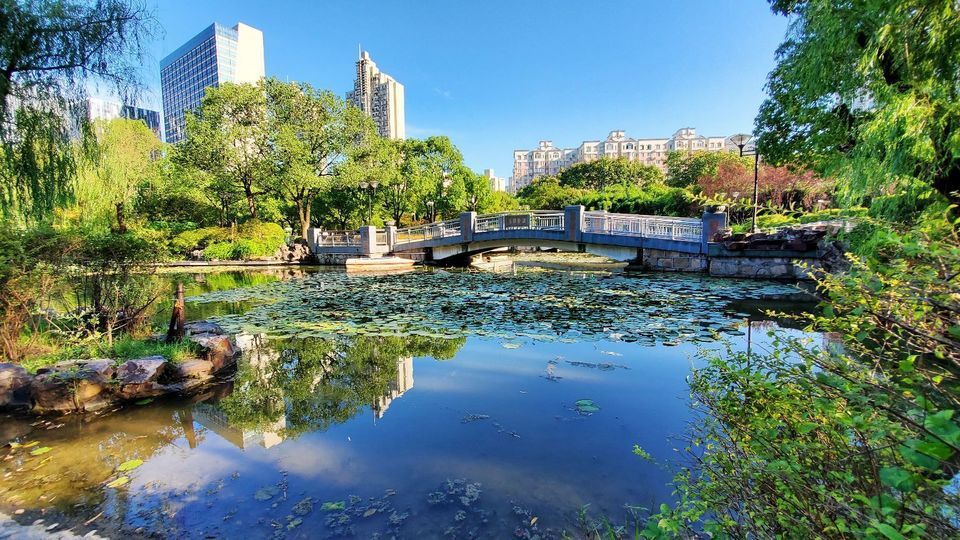 怎么去,怎么走,在哪,在哪里,在哪儿):闵行区吴中路2019号闵行文化公园
