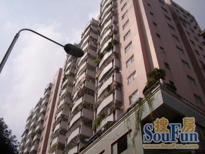 市桥华海大厦图片