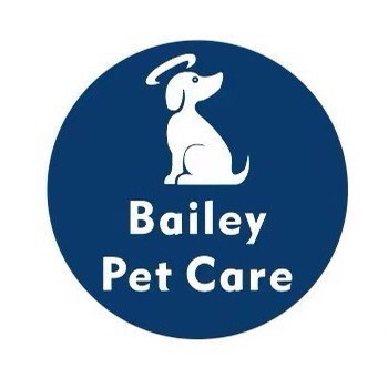 宠物医院24小时