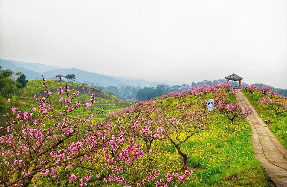 永川桃花源图片