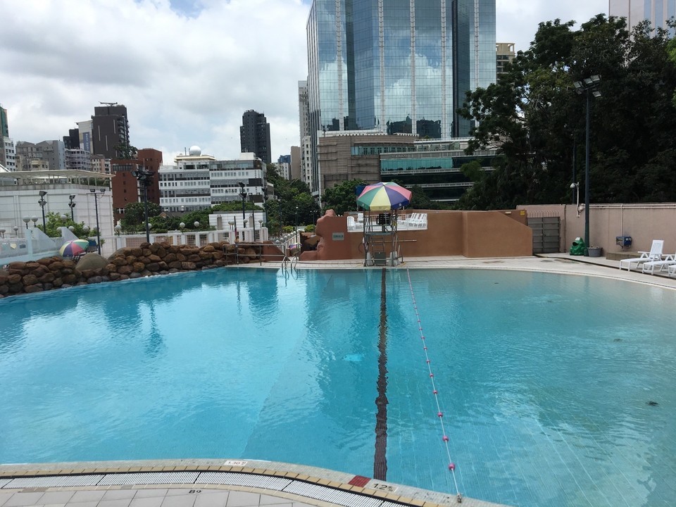 九龙公园-游泳池图片