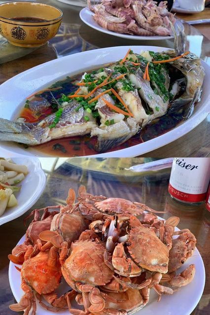 渔寮渔家乐六号图片