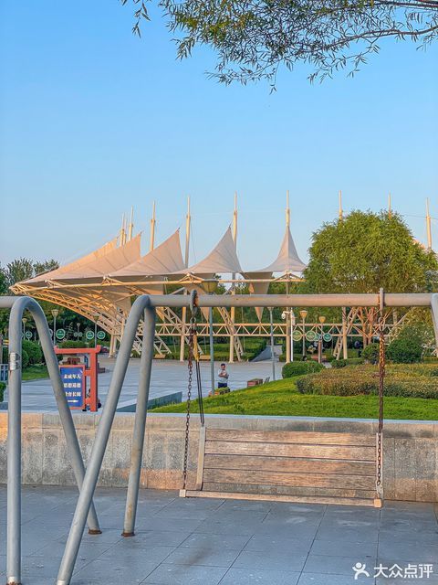 东营·森林乐园图片