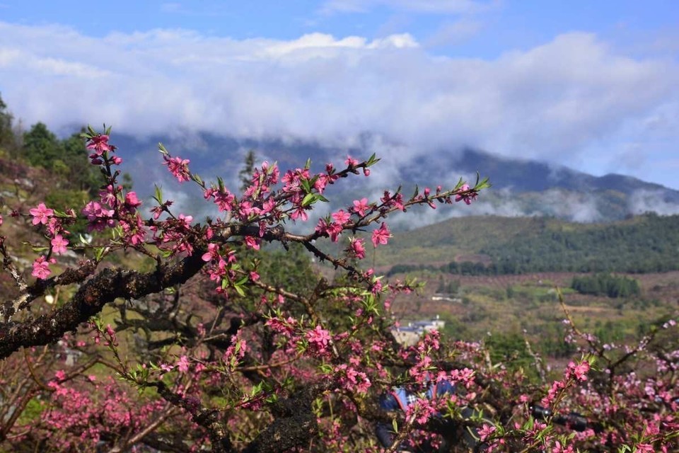 桃花山风景区图片