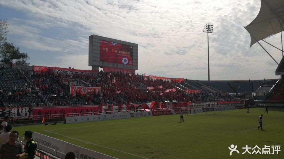 龙泉专业足球场