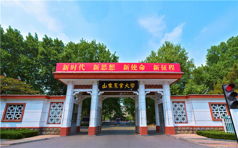 山东农业大学(南校区)图片