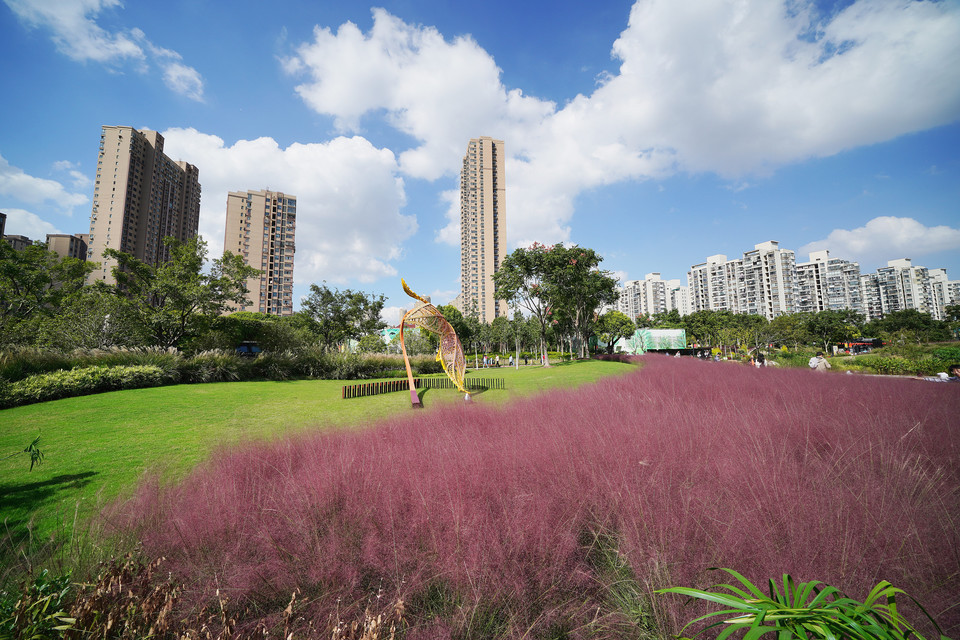 上海第四人民医院新址彩虹湾
