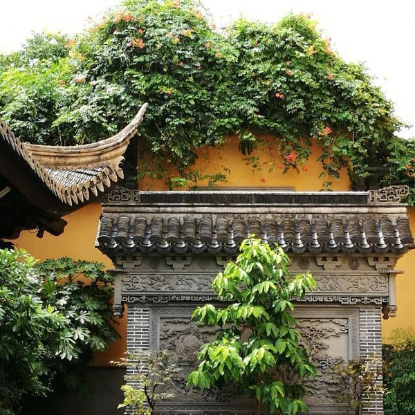 曹王禅寺