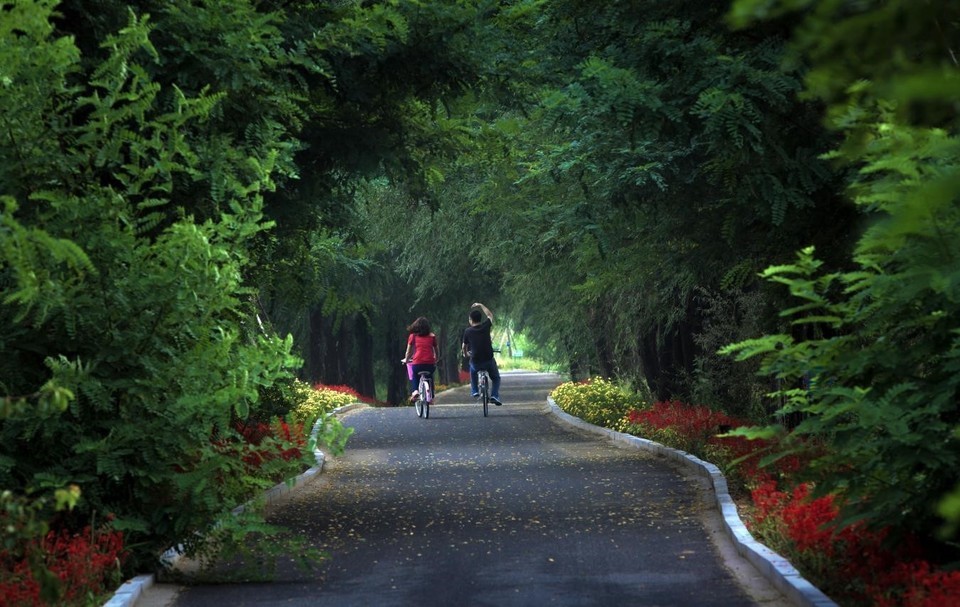 盤錦森林公園圖片