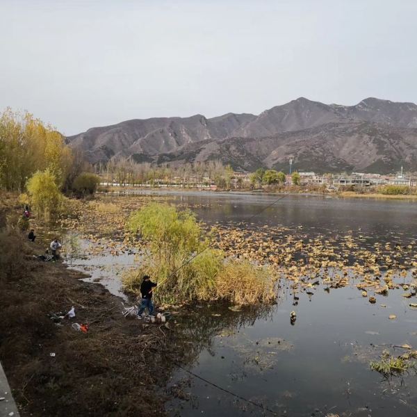 红螺湖鸟岛图片