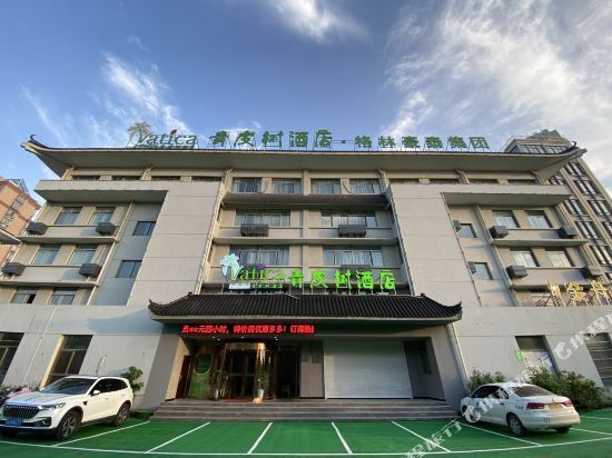 青皮树酒店(安庆吾悦广场博爱医院店)图片